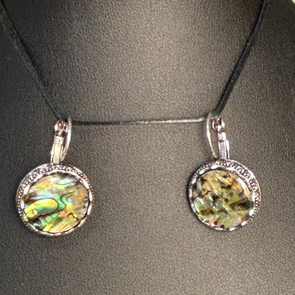 ๐ Sale! ๐ NEW Leverback abalone earrings - Picture 1 of 3